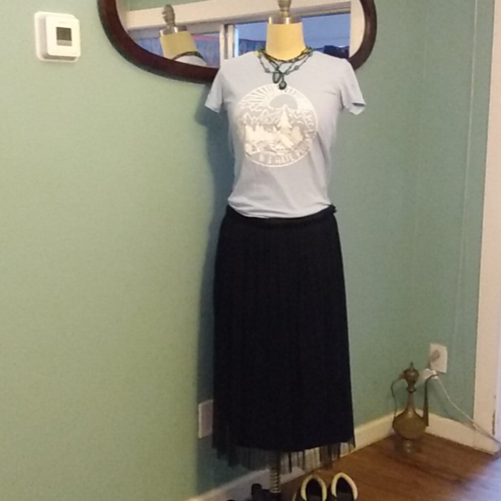 Pleated Banana Republic size 10 Skirt